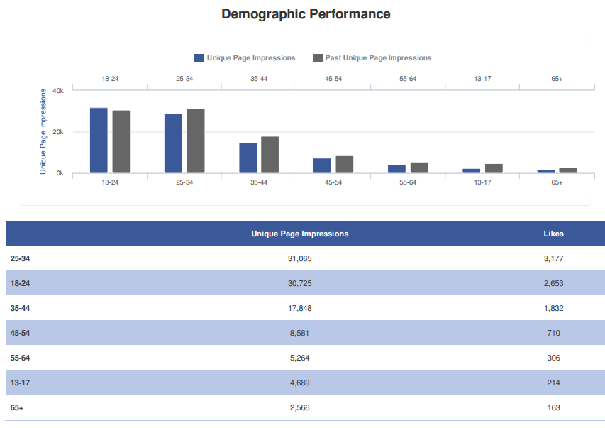 social media audit demographics